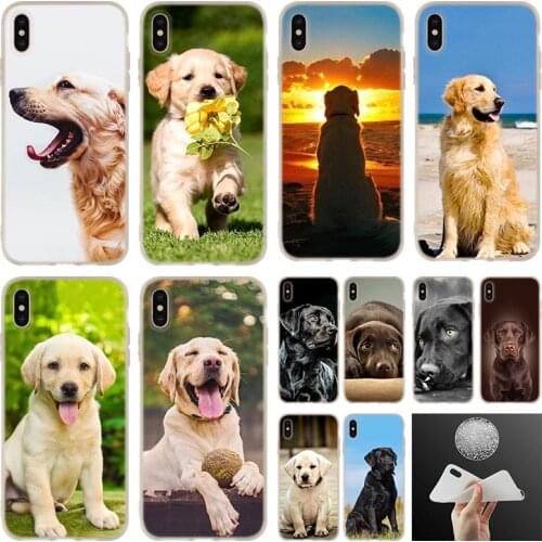 Labrador Retriever dog soft silicone Case Cover For iPhone 12 11 Pro 7 8 Plus XR XS Max 5 5S SE 6 6s 2020 Funda Etuis