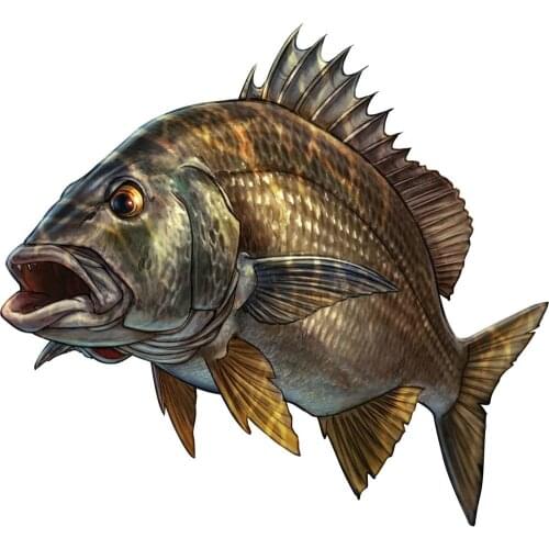 Aliauto Fashion Fish Car Sticker Outdoor Sports Go Fishing Automobiles & Motorcycles Waterproof Kayak Boat PVC Decal,20cm*19cm