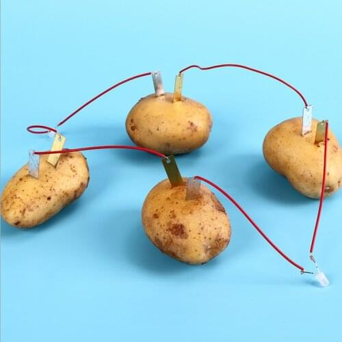 1 Set Childrens Bio-energy Science Set Potato Fruit Supply Electricity Experiment Kids Student Learning Science Education Toys