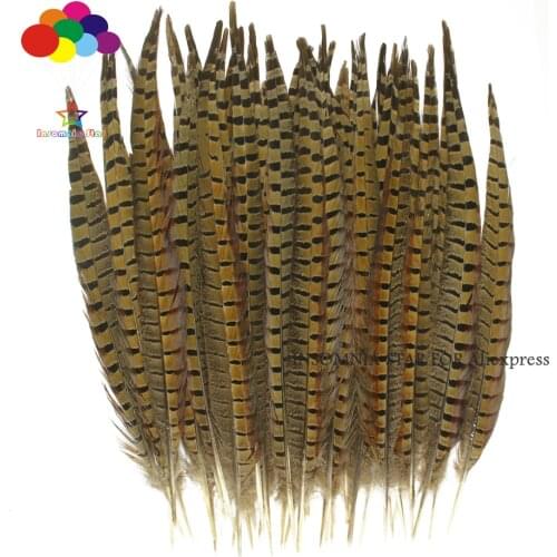 30-35 cm 12-14 inch 100pcs/lot Size Super Quality Natural Ringneck Pheasant Tail Feathers
