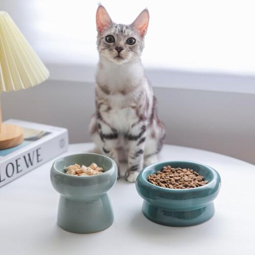 Luxury Pet Cat Small Dog Supplies Ceramics Raised Flower Shape Cat Bowl Food Feeder for Small Dog Pet Accessories
