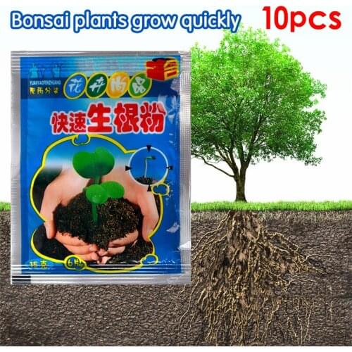 10Pcs Bonsai Plant rapid growth root medicinal hormone regulators growing seedling recovery germination vigor aid fertilizer