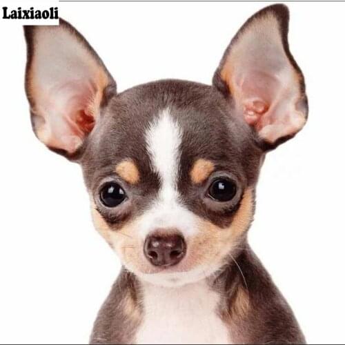 5d Diamond Embroidery chihuahua Dog 3d Diamond painting cute puppies pet Cross Stitch Mosaic Painting Rhinestone Home decoration