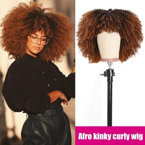 Alynn Short Hair Afro Kinky Curly Wigs With Bangs For Black Women Synthetic Wig Cosplay Daily Natural Soft Hair Heat Resistant