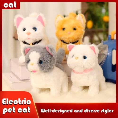 Bigebige Radio-controlled Toys