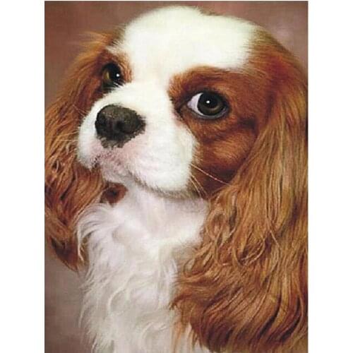 Charles King Beagle Head Portrait Diamond Painting Animal Round Full Drill Nouveaute DIY Mosaic Embroidery 5D Cross Stitch Gifts