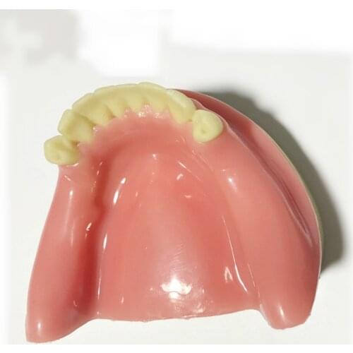 7 type Dental implant practice model Teaching and training practice Artificial mandible 6 teeth 2 kinds of bone soft gums