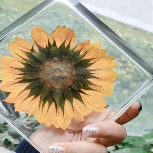 Bright Filiings Resin Ornament Handmade for Home Office Decoration