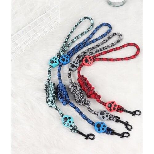 2020 New Traction Rope Explosion-proof Spiral Pattern Dog Chain Pet Supplies Small and Medium-sized Dog Accessories