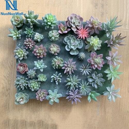 NuoNuoWell DIY 20pcs Mixed Type Artificial Succulent Plants DIY Wall Plant Landscape 3D Frame Decorative Flowers