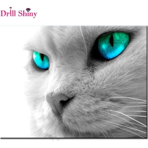 DIY diamond painting cat full square diamond embroidery mosaic pictures stitch crystal stitch stickers painting rhinestones