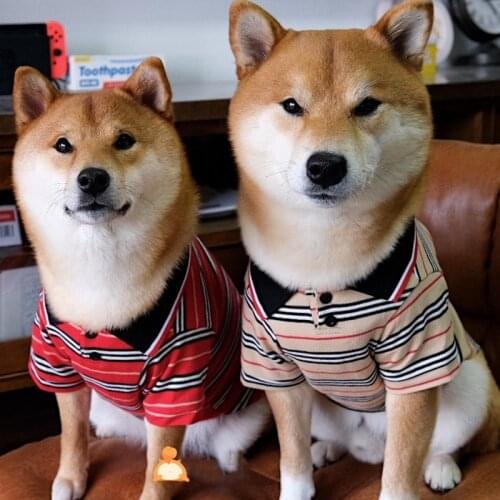 Dog Polo Shirt Para Perro Summer Striped Pet Dog Tshirt Shih Tzu Shirts Fashion Design French Bulldog Clothes Pug Yorkie Costume