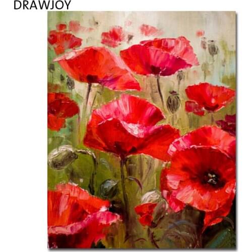 Framed Flower DIY Painting By Numbers Painting & Calligraphy Canvas Painting Coloring By Numbers 40*50cm GX5736