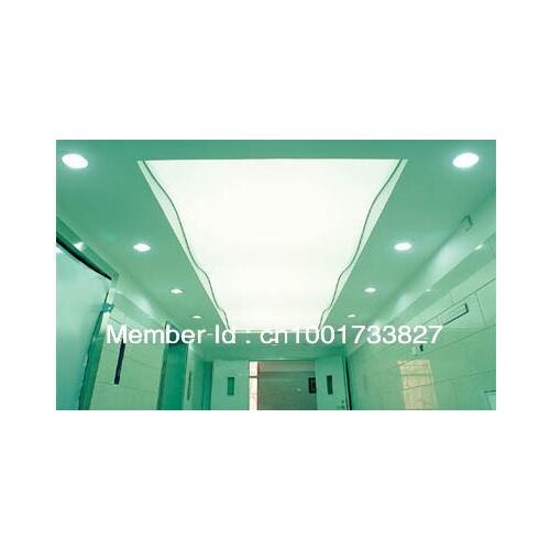 4011Translcuent PVC Stretch Ceilings in a Construction Materials and Ceiling Materials