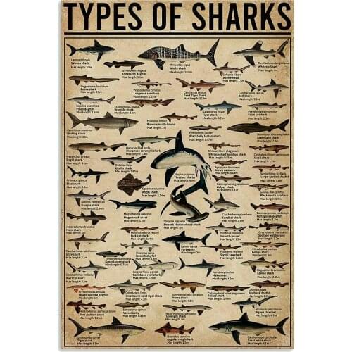 All Types of Shark Poster Notice for Diver for Decor Bathroom Gift for Diver Signs Vintage Road Signs High Way Metal Tin Sign