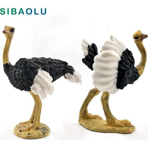 Simulation Ostrich Bird Animal model figurine home decor miniature fairy garden decoration accessories modern figure statue toys