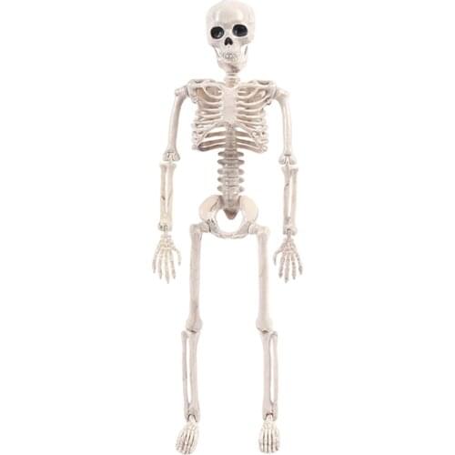 40cm Height Posable Mini FIgure with Movable Arms and Legs, Scientific Model for Study Learning Aids