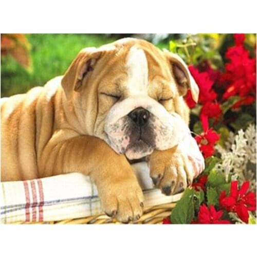 Diamond Painting Dog Full Square Drill 5D DIY Diamond Embroidery Animals Mosaic Sale Rhinestone Art Home Decor