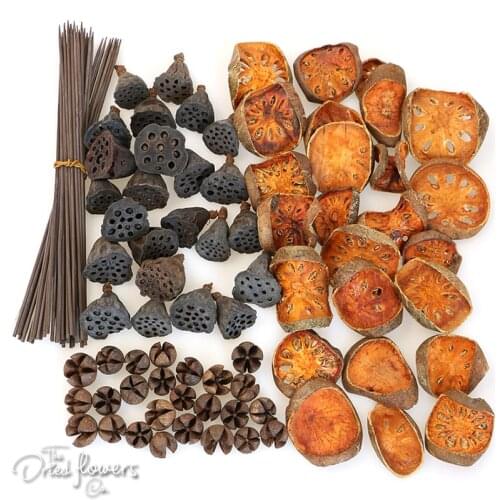 Dried Plant 4piece Set Specials 25 Bell Cup Slice 25 Mini Lotus 25 Mini Eucalyptus Pod 50 Bamboo Çubuk