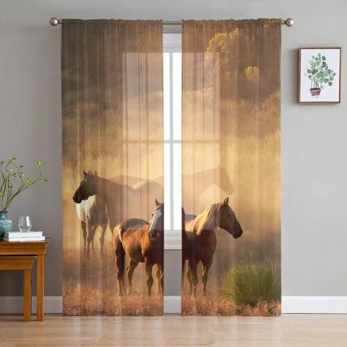 Wild Horse Animal Window Treatment Tulle Modern Sheer Curtains for Kitchen Living Room the Bedroom Curtains Decoration