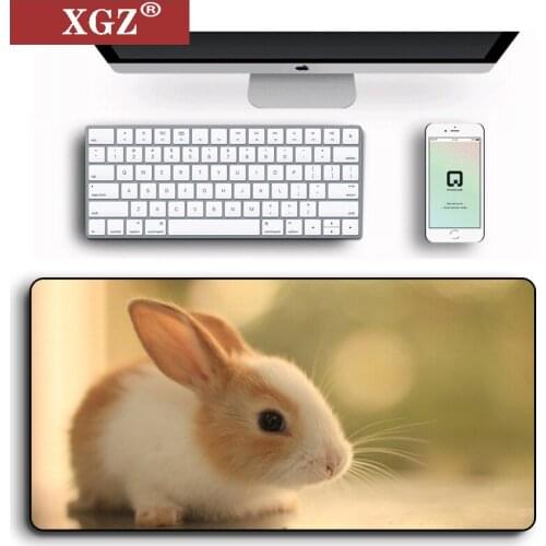 XXL Rabbit Mouse Pad Gaming Mouse Pad Player Pad PC High Quality Gaming Computer Desk Padmouse Keyboard Big Gaming Pad 800x300mm