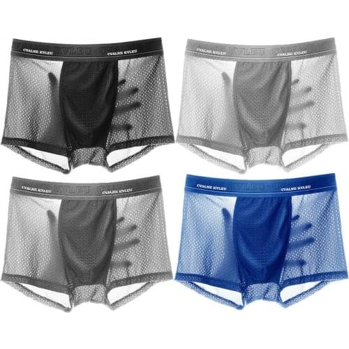 2/4/pcs/lot mens underwear boxers mesh Mens breathable and cool underwear for men fishnet shorts