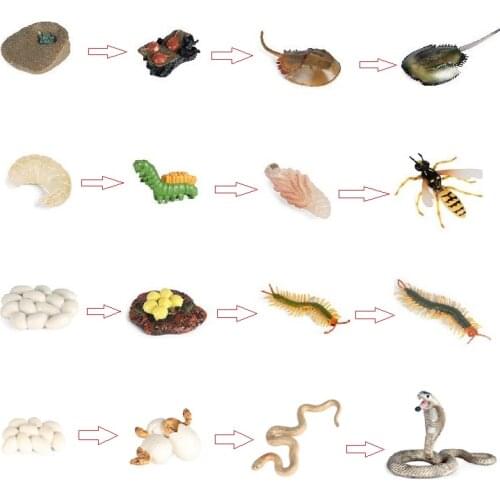 Hot Simulation Animal Insect Model Mini Animals Centipede Snake Wasp Growth Cycle Ornaments Kids Cognitive Educational Toys Gift