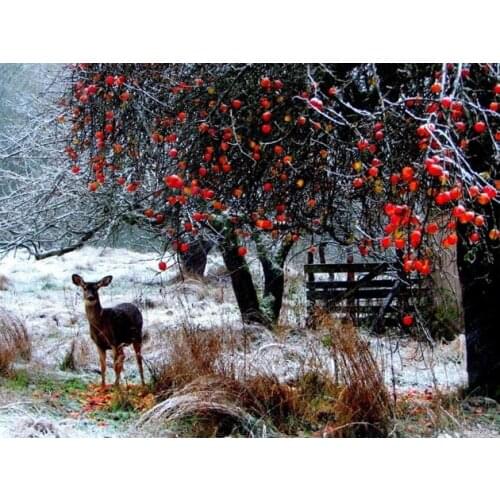 Snowing style Embroidery Counted Cross Stitch Kits Needlework - Crafts 14 ct DMC Color DIY Arts Handmade Decor R24871