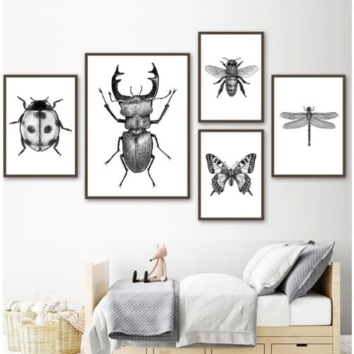 Butterfly Beetle Insect Child Poster Animal Wall Art Canvas Nursery Print Painting Nordic Kid Baby Room Decoration Picture