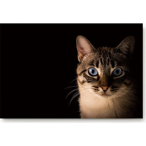 Blue Pupil Cat Looking Straight Non-slip Doormat Bathroom Accessories Set Floor Carpet Home Decor