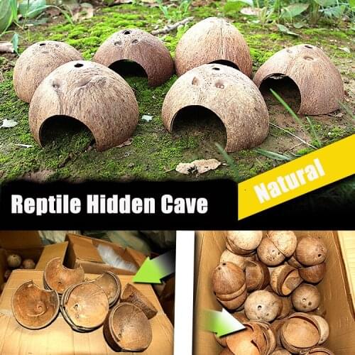 Reptile Hidden Cave Natural Coconut Shell Lizard Gecko Spider Scorpion Hermit Crab Pet Snake Box Landscaping Decorations