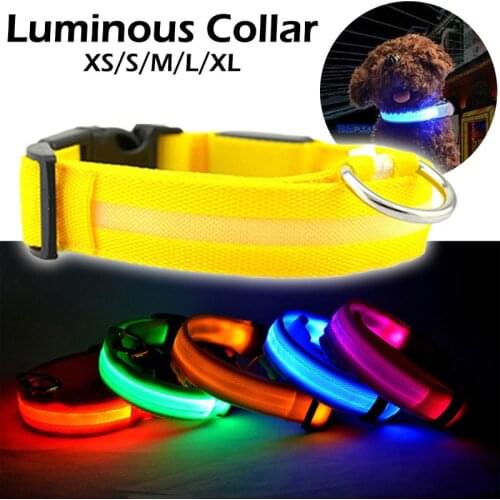 LED Flashing Dog Collar Night Prevent Loss Avoid Car Accident Puppy Collars Pet Supplies Perro Mascota