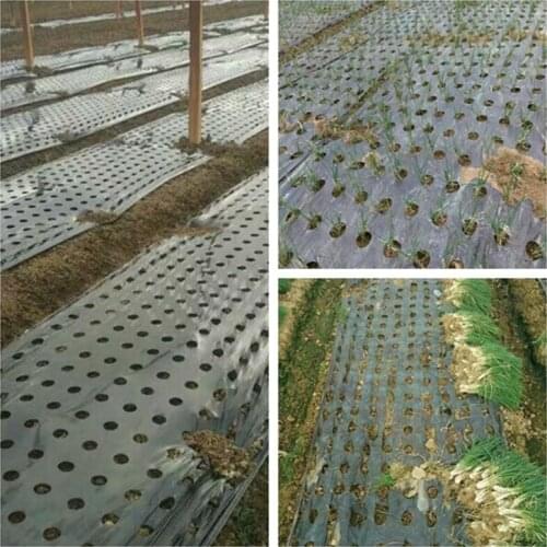 10m Black 5-Hole Mulch Film PE Plastic Mulch 0.02mm Agricultural Plants Cover Film Frost Protection Keep Warm Weed Control