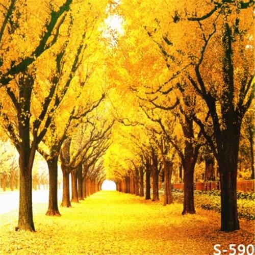 150*200cm Golden Autum Natural Views Photography Backdrops for Photo Studio Custom Wedding Vinyl Backdrops for Photography