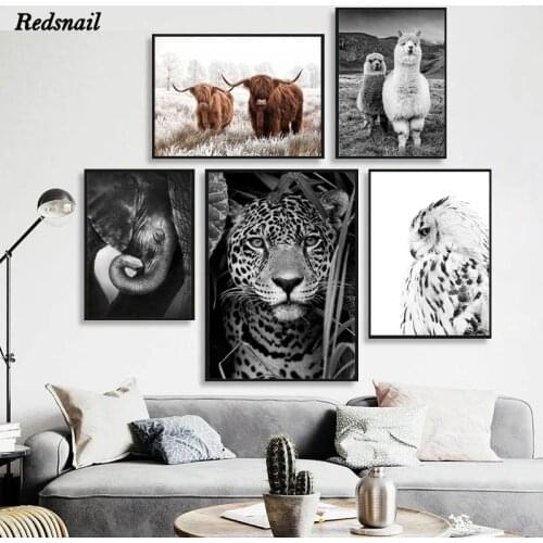 Jaguar Cow Cute Alpaca Animal Diamonds Embroidery DIY Diamond painting 5D Full mosaic Black White Wall Art Highland Cow EE903