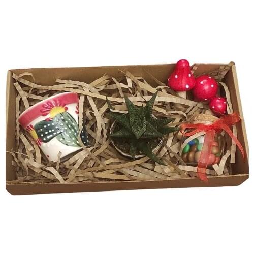 Christmas Valentines day Cactus Sukulent Model No:15 christmas decorations рождественские украшения