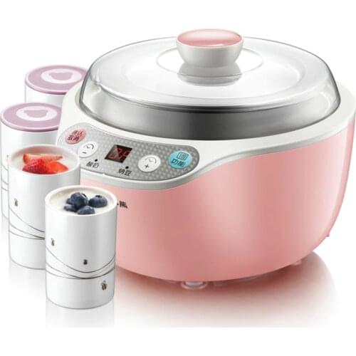 Bear Yogurt Machine Household Automatic Mini Stainless Steel Natto Machine with Cup