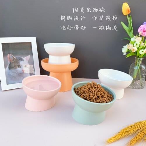 Small ceramic Raised Tilted Cat Food Water Bowls,Backflow Prevention, Dishwasher and Microwave Safe, Lead & Cadmium Free