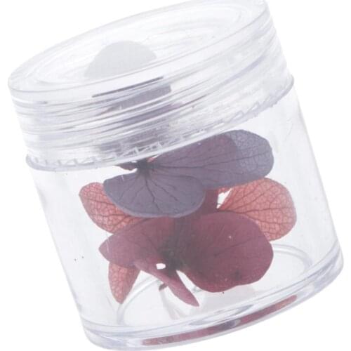 1 Box Real Dried Flowers Embellishments Nail Art Scrapbooking Resin Crafts DIY