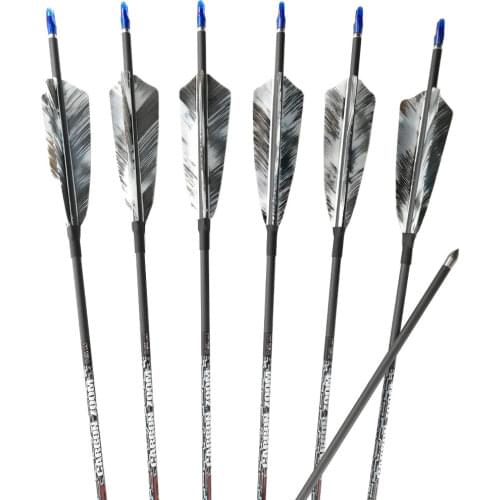 6pcs/12pcs Carbon Arrows Spine 400 500 600 700 800 900 1000 4 Inch Turkey Feathers Compound Recurve Longbow Bow Hunting Shooting