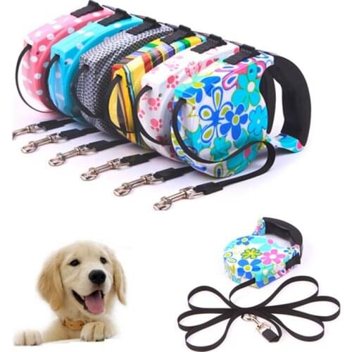 Outdoor Running Retractable Dog Leashes Fashion Slip Chain Pet Leash for Cat Teddy Nylon Training Dog Rope Belt