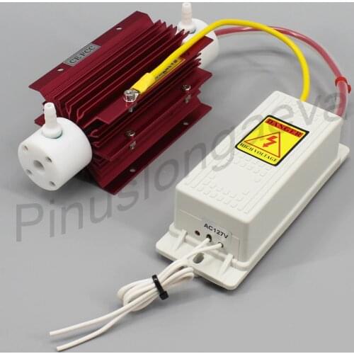Pinus longaeva 5g/h 5grams Quartz tube type ozone generator Kit room air water purifier AC220V AC110V DC12V DC24V