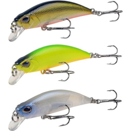 1pcs Slowly Sinking Minnow Fishing Lure 5.5cm 5g Isca Artificial Hard Bait Bass Wobblers 3D Eyes Crankbait Carp Pike Tackle