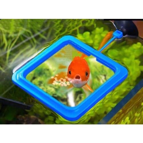 Fish Feeding Square ROUND Aquarium Fish Tank Ring Feeder Station Floating Food Water Plant Buoyancy Circle Accessory Sucker Cup