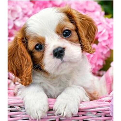 5D DIY Diamond Painting Animal Picture Cute Puppy Picture Square/Round Diamond Cross Stitch Embroidery Decoration Artwork WG2963