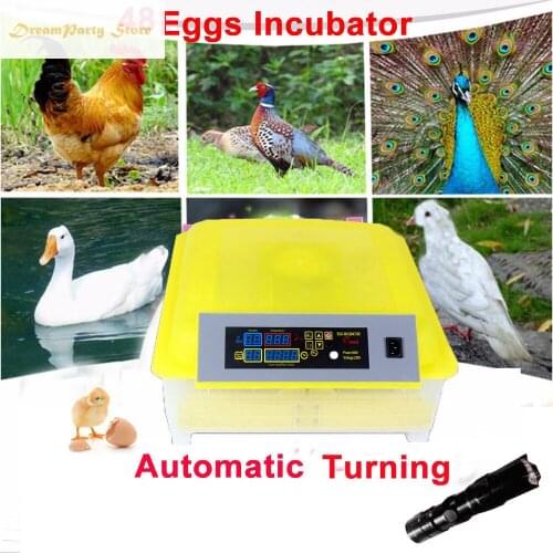 Automatic Egg Incubator Brooder Bird Quail Chick Hatchery Hatcher Intelligent Farm Hatchery Machine Tools UK/EU/US 110V / 220V