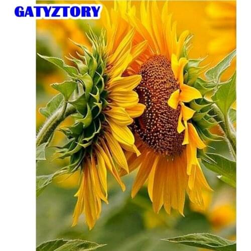 GATYZTORY Two Sunflower Oil Painting By Numbers Kits Handmade Unique Gift For Kids 60x75cm Framed Acrylic Paint Draw Wall Decors
