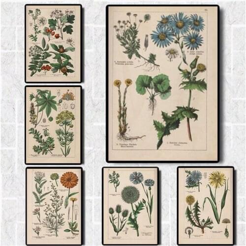 Vintage Adolphe Millot Encyclopedia Posters Prints Butterfly Flowers Insect Canvas Paintings Wall Art Picture Home Decor Cuadros