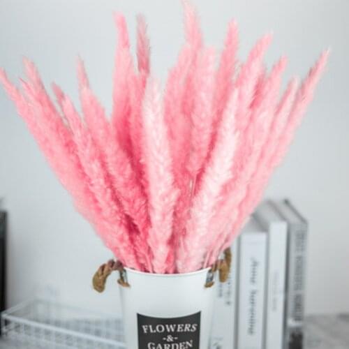 15Pcs Natal Small Pampas Grass Preserved Flores Flores Decorativas Valentines Day Home Decor Flower Wall Flores Secas