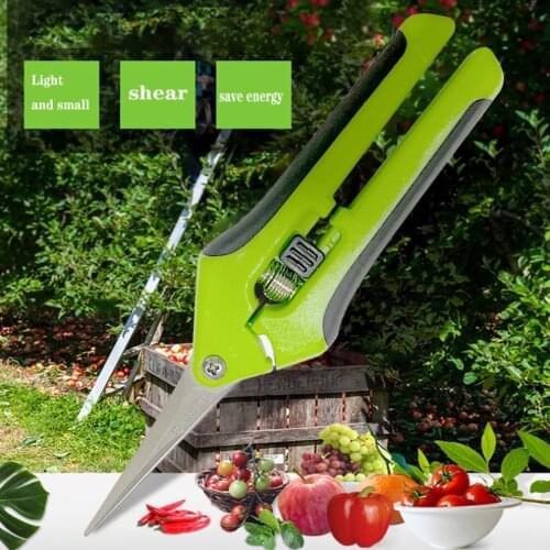 Garden Pruning Shears Stainless Steel Pruning Tools Hand Pruner Cutter Grape Fruit Picking Weed Household Potted Branches Pruner